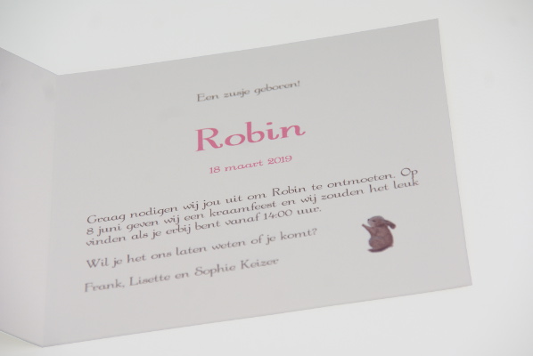 geboortekaartje robin lichtroze